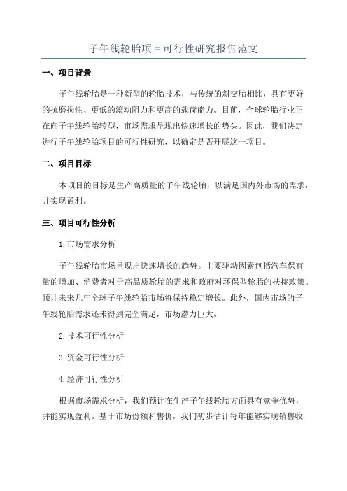 子午线轮胎项目可行性研究报告范文
