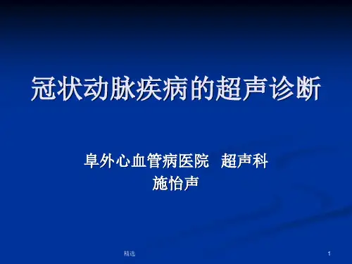 冠状动脉疾病的超声诊断ppt课件