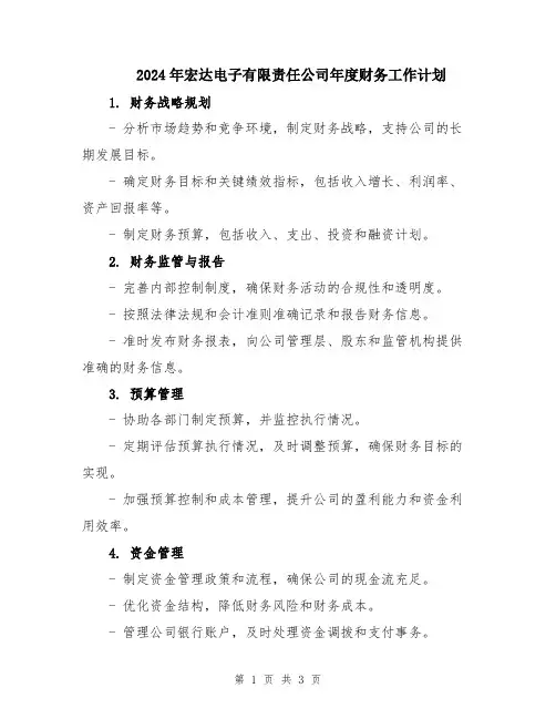 2024年宏达电子有限责任公司年度财务工作计划