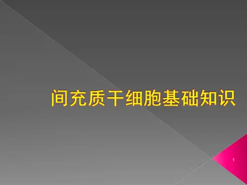 MSC干细胞ppt演示课件