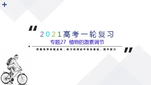 专题27 植物的激素调节-2021年高考生物一轮复习(共24张PPT)