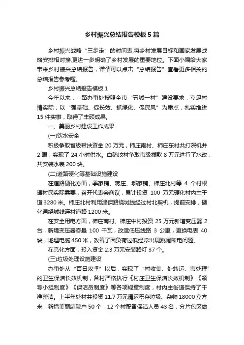 乡村振兴总结报告模板5篇
