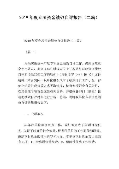 2019年度专项资金绩效自评报告(二篇)