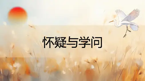 《怀疑与学问》ppt课件