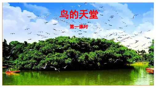 统编版五年级语文上册23《鸟的天堂》第一课时课件(共26张PPT)