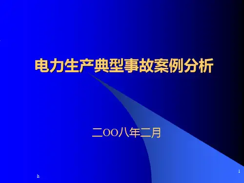 电力生产典型事故案例分析