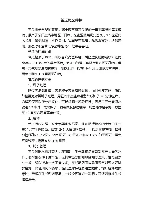苦瓜怎么种植