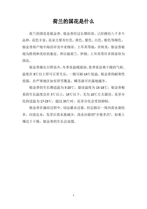 荷兰的国花是什么