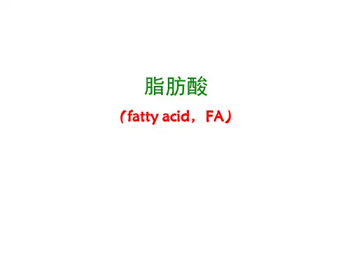 2.2 脂肪酸 