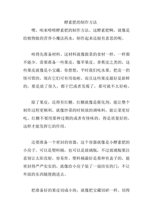 酵素肥的制作方法