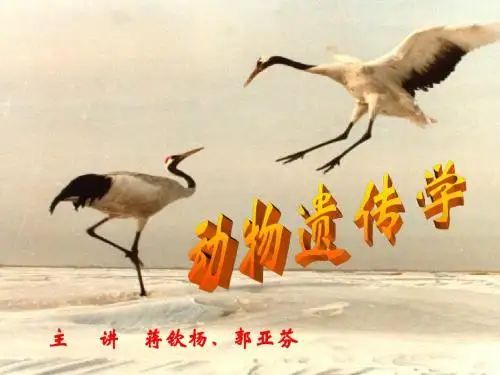 动物遗传学(2011级)第1章