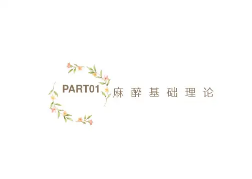 麻醉机基础理论培训ppt课件