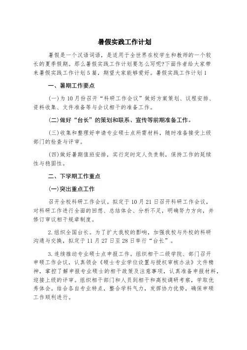 暑假实践工作计划