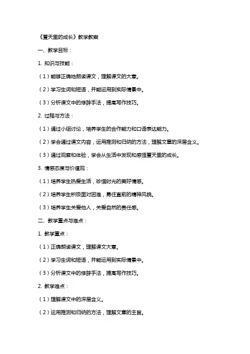 《夏天里的成长》教学教案