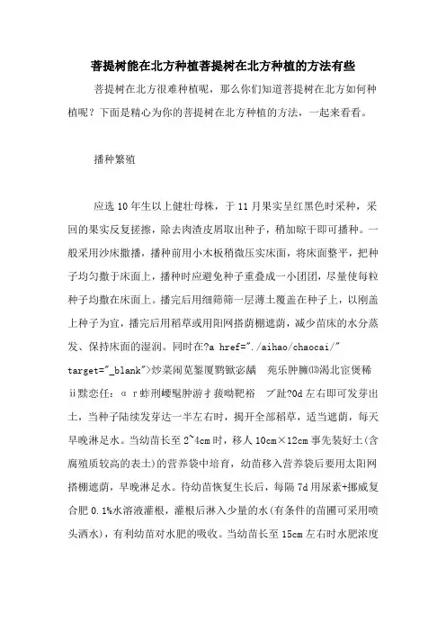 菩提树能在北方种植菩提树在北方种植的方法有些