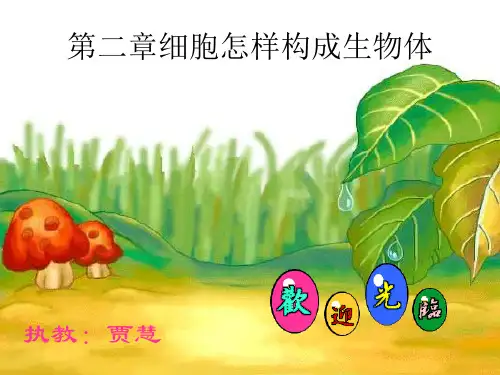 济南版七年级上册生物：第三节 多细胞生物体的结构层次
