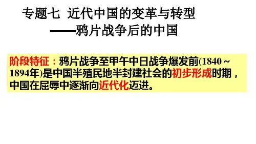 专题七近代中国的变革与转型