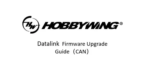 Datalink V2 固件升级指南（CAN）说明书