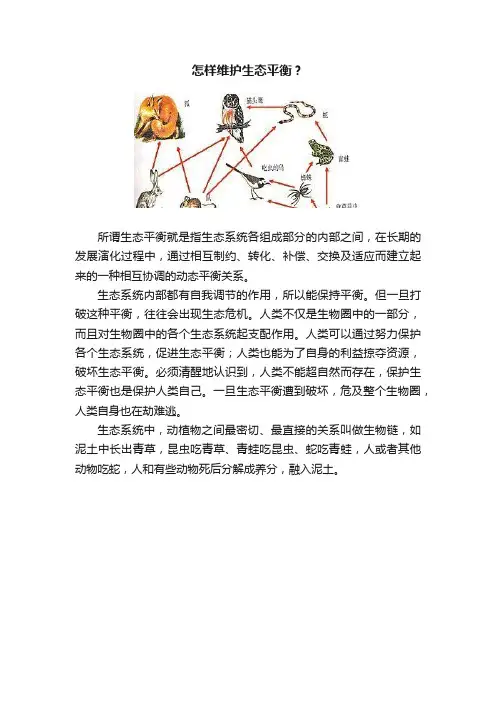 怎样维护生态平衡？