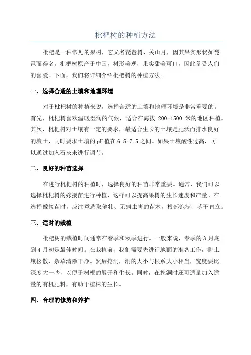 枇杷树的种植方法