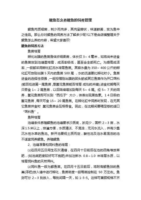 鳜鱼怎么养鳜鱼的饲养管理