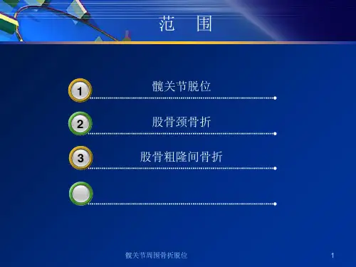 髋关节周围骨折脱位课件