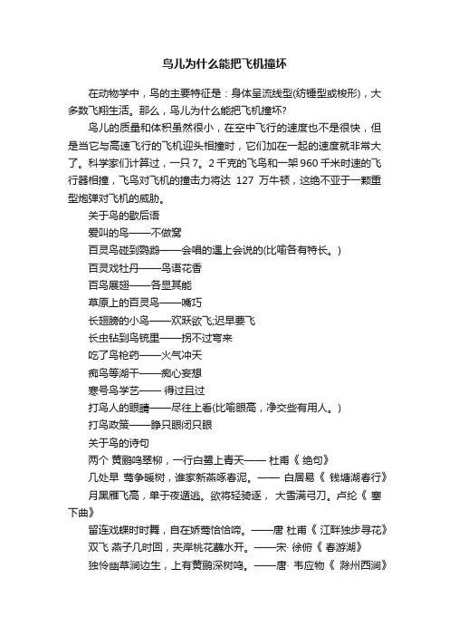 鸟儿为什么能把飞机撞坏