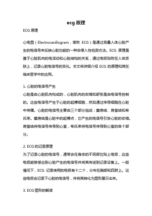 ecg原理