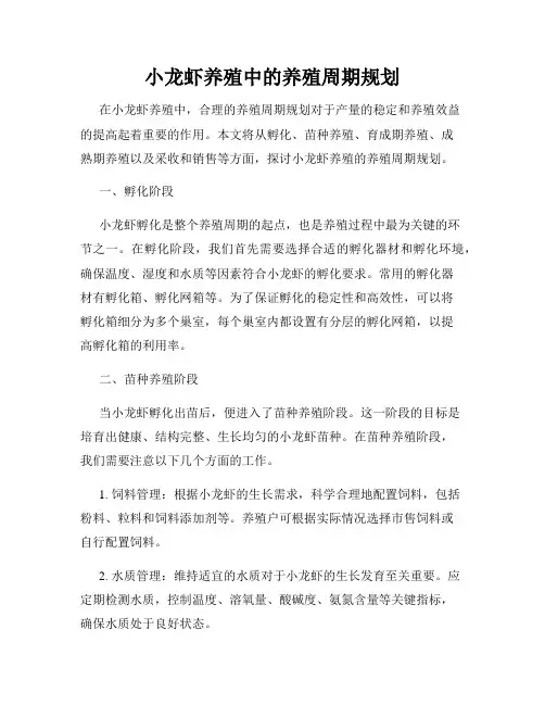 小龙虾养殖中的养殖周期规划