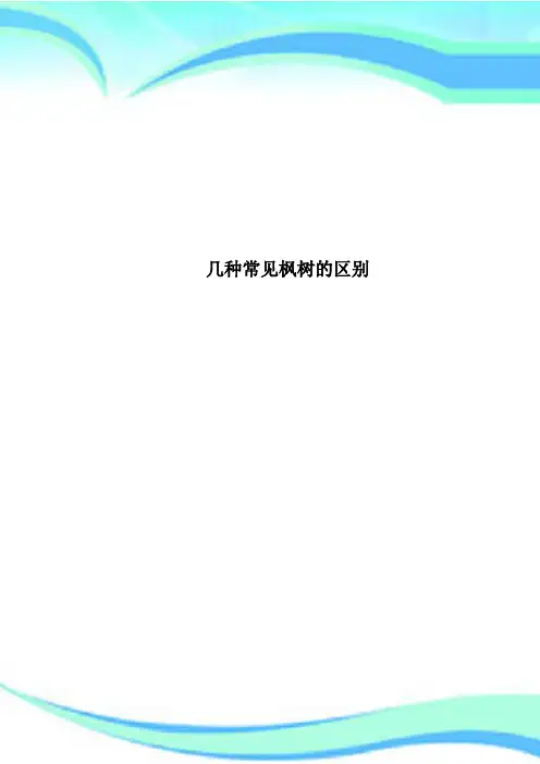 几种常见枫树的区别
