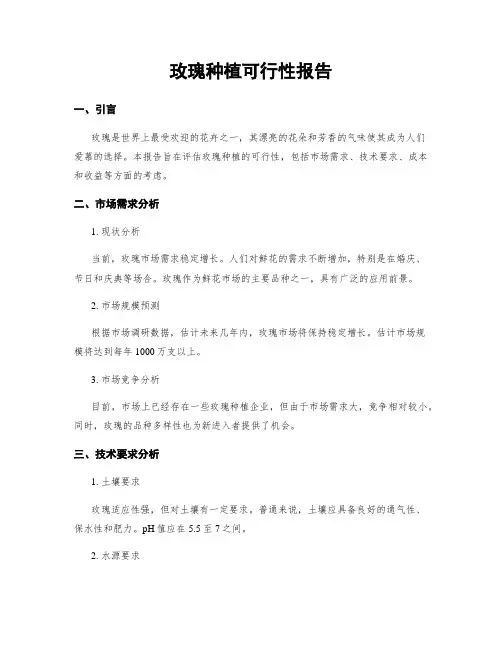 玫瑰种植可行性报告