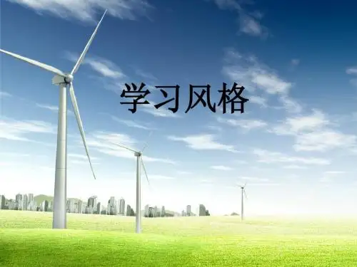 学习风格