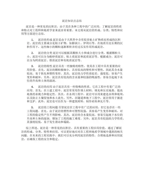 泥岩知识点总结