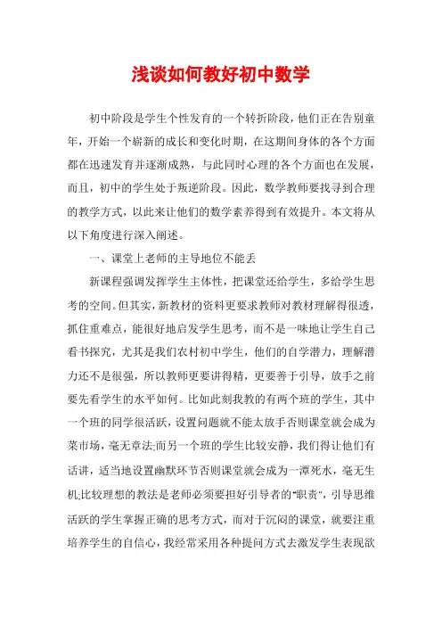 浅谈如何教好初中数学