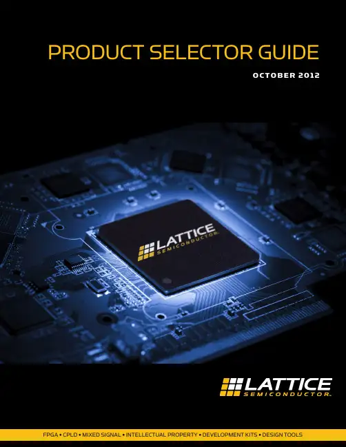 Lattice Semiconductor 产品选择指南：FPGA、CPLD、混合信号等 - 201