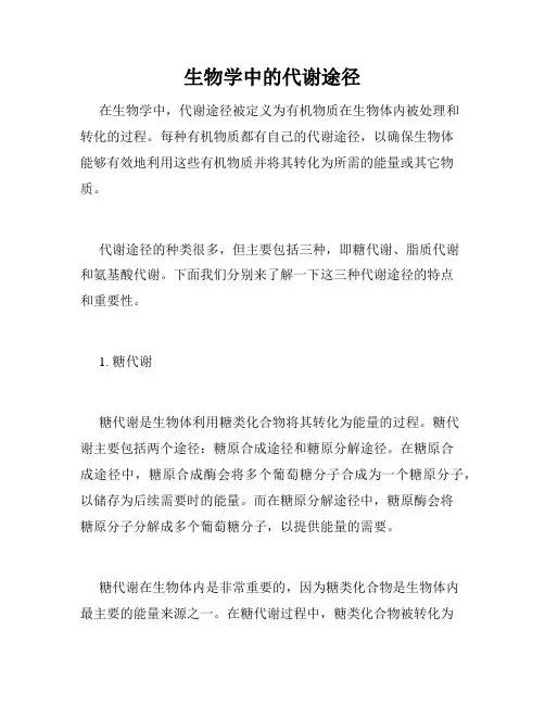 生物学中的代谢途径