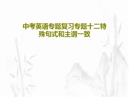 中考英语专题复习专题十二特殊句式和主谓一致共33页PPT