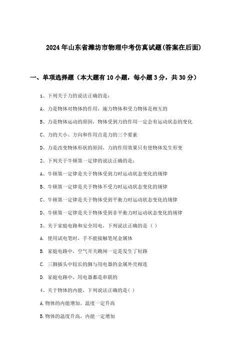 山东省潍坊市物理中考试题及解答参考(2024年)