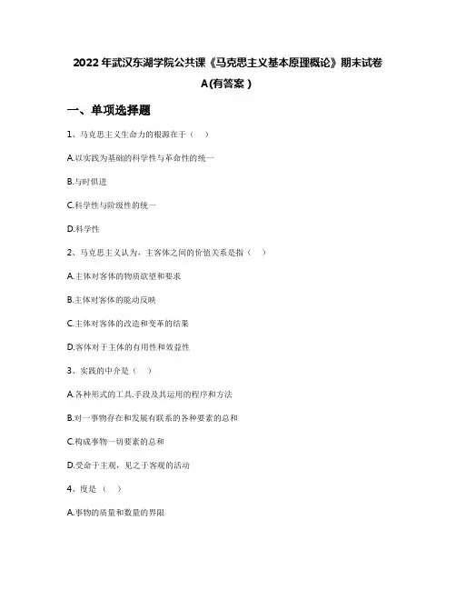 2022年武汉东湖学院公共课《马克思主义基本原理概论》期末试卷A(有答案)