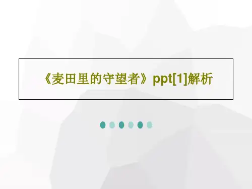 《麦田里的守望者》ppt[1]解析共21页