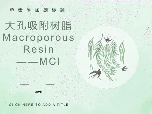 大孔吸附树脂MacroporousR