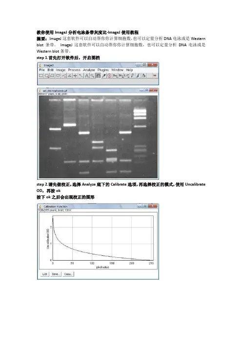 ImageJ分析电泳条带灰度