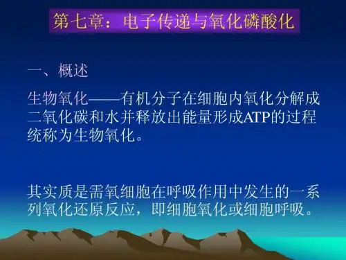 生物化学(王镜岩版)第七章 生物氧化