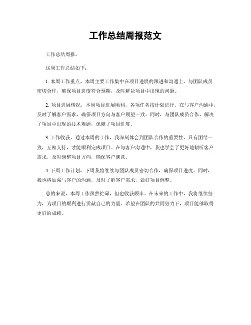 工作总结周报范文