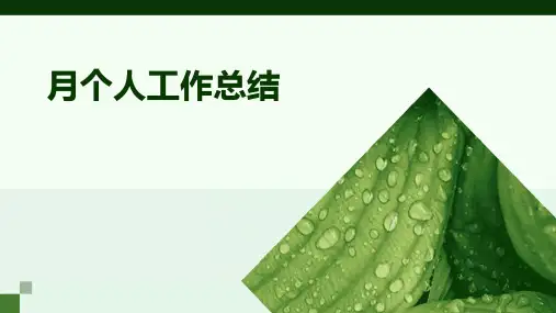 月个人工作总结PPT