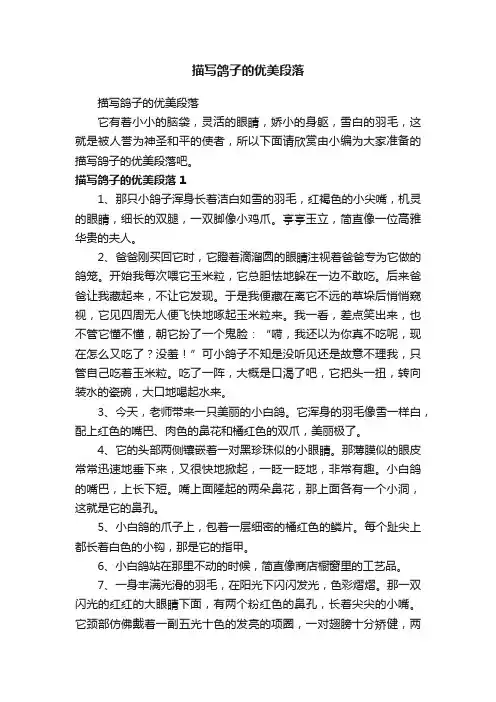 描写鸽子的优美段落
