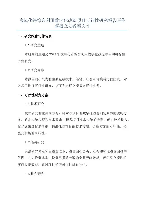 次氧化锌综合利用数字化改造项目可行性研究报告写作模板立项备案文件