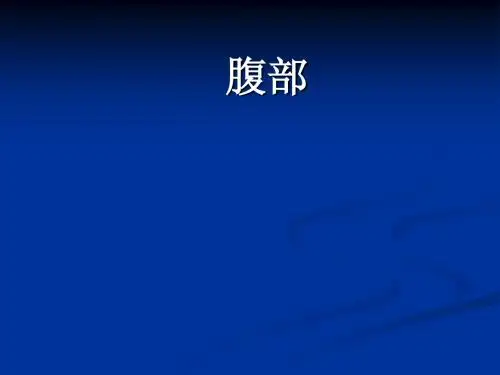 腹部解剖