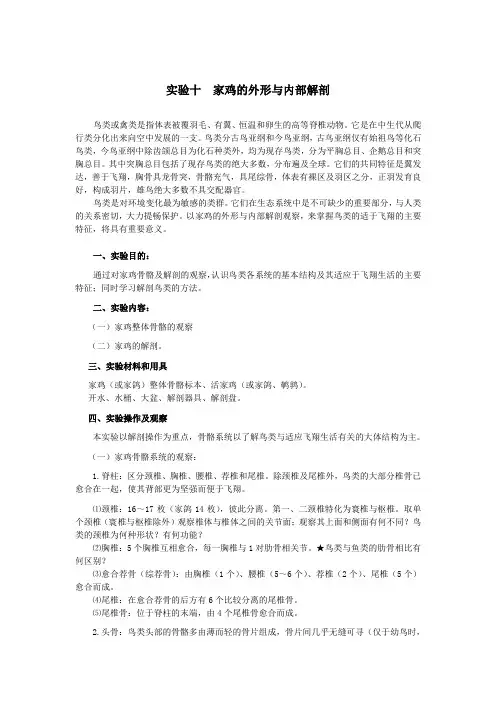 实验十家鸡的外形与内部解剖