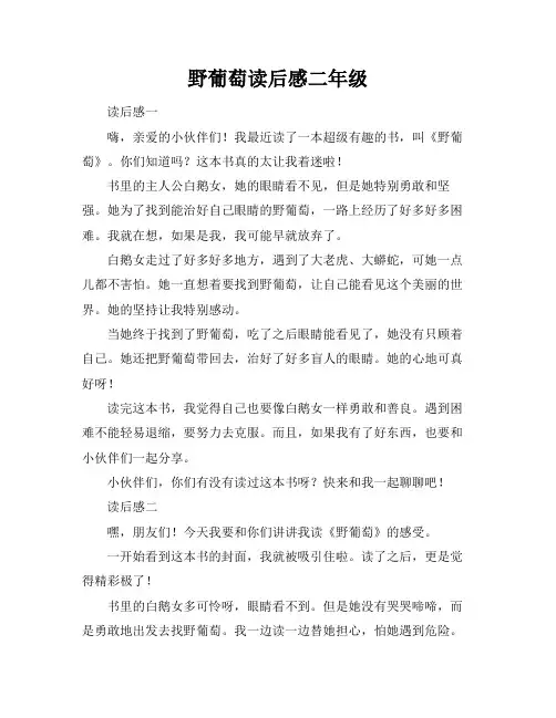 野葡萄读后感二年级